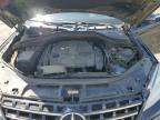 MERCEDES-BENZ ML 350 photo