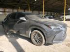 LEXUS NX 350 photo