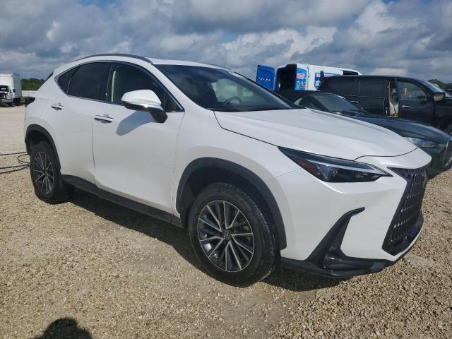 2023 LEXUS NX 250 JTJGDCAZ2P5009827