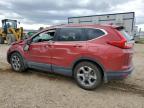 HONDA CR-V EX photo