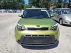 KIA SOUL + photo