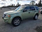 FORD ESCAPE XLT photo