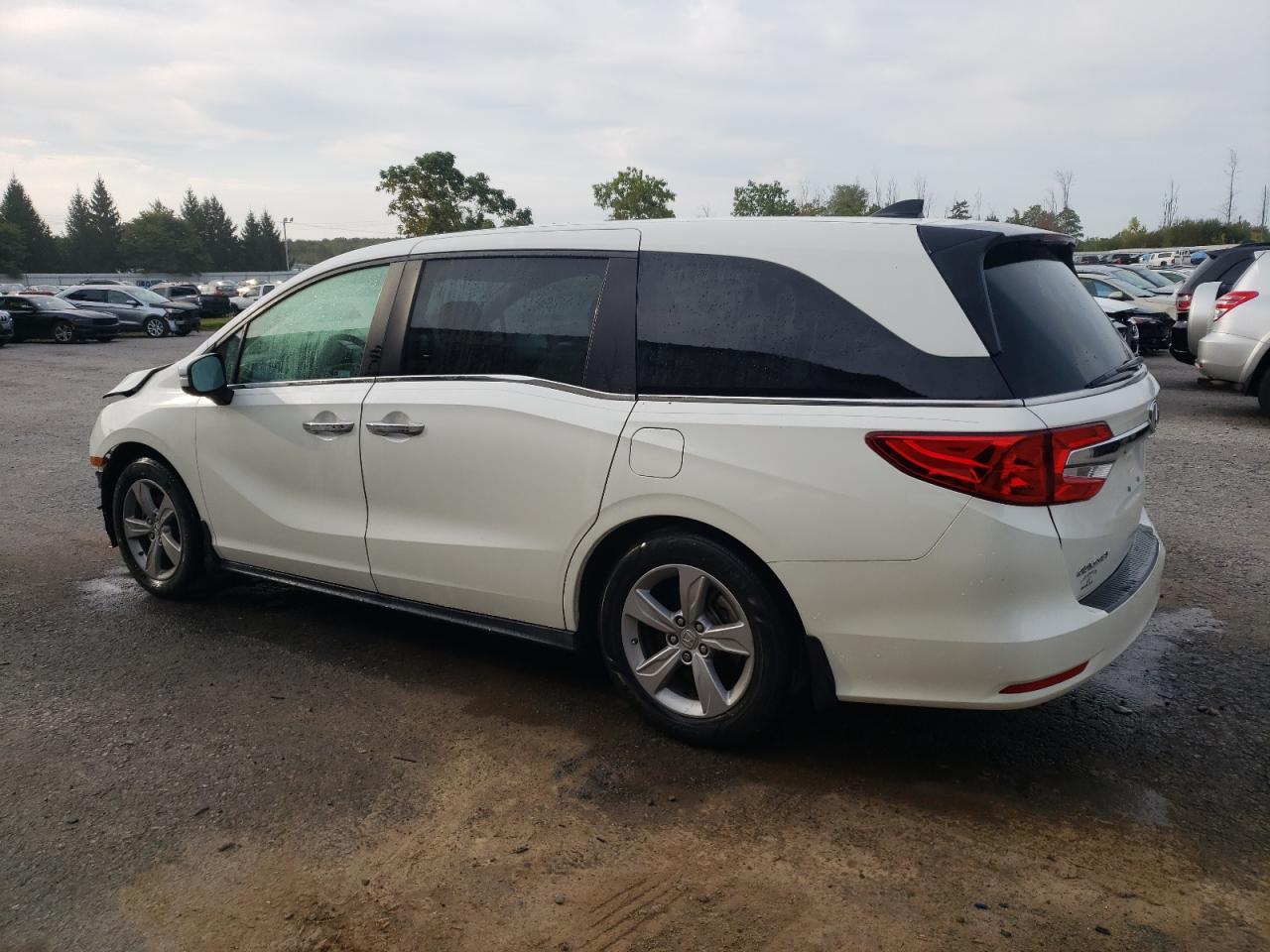 Lot #3024736388 2019 HONDA ODYSSEY EX