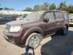 HONDA PILOT EXL photo