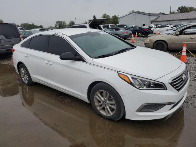 VIN 5NPE24AF8HH509066 2017 HYUNDAI SONATA no.4