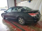 HONDA ACCORD SE photo