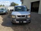 HONDA ELEMENT DX photo