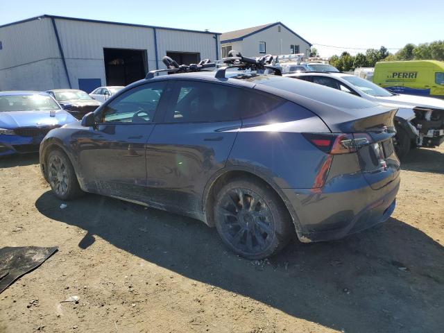2021 TESLA MODEL Y - 5YJYGDEE2MF204252