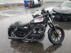 Lot #3023939206 2021 HARLEY-DAVIDSON XL1200 NS