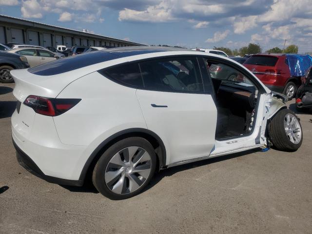 2023 TESLA MODEL Y - 7SAYGDEEXPF810843