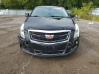 CADILLAC XTS photo