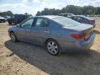 LEXUS ES 330 photo