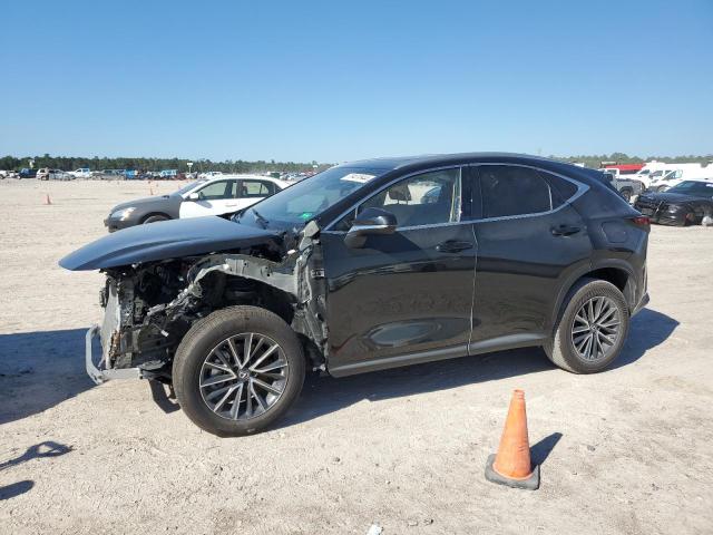 2024 LEXUS NX 250 BAS #2871998165