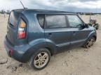 KIA SOUL + photo