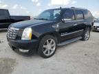 CADILLAC ESCALADE photo