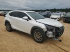 LEXUS NX 300H photo