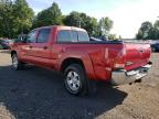 TOYOTA TACOMA DOU photo