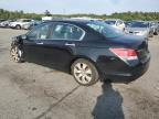 HONDA ACCORD EXL photo