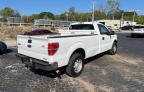 FORD F150 photo