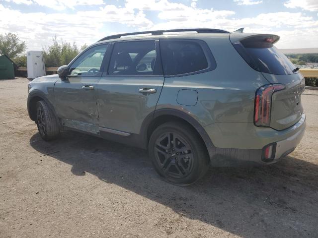 2023 KIA TELLURIDE - 5XYP5DGC3PG394265