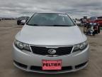 KIA FORTE EX photo