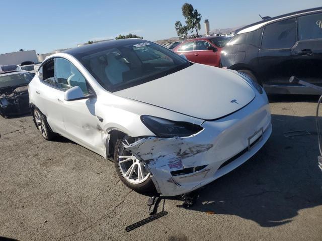 2023 TESLA MODEL Y - 7SAYGDEE4PF747464