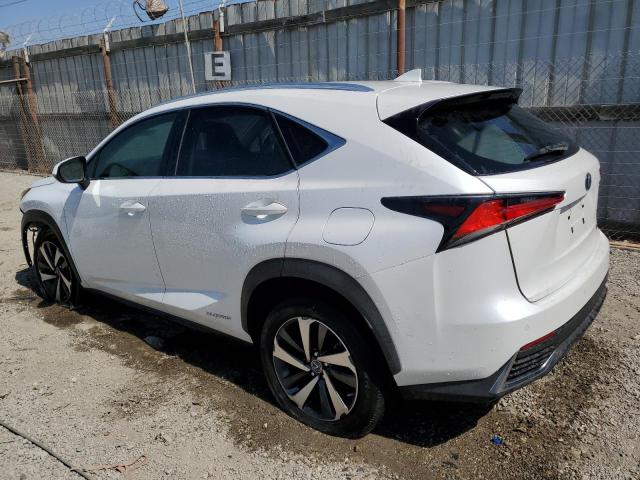 LEXUS NX 300H BA 2021 white  hybrid engine JTJGJRDZ3M2148594 photo #3