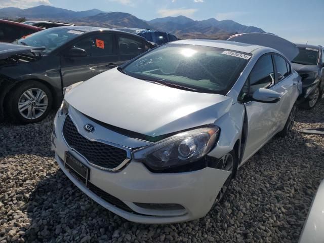 2016 KIA FORTE EX - KNAFZ4A82G5450061