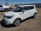 KIA SOUL + photo