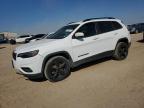 2020 JEEP CHEROKEE L - 1C4PJLLB3LD577807