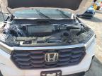 HONDA PILOT EXL photo