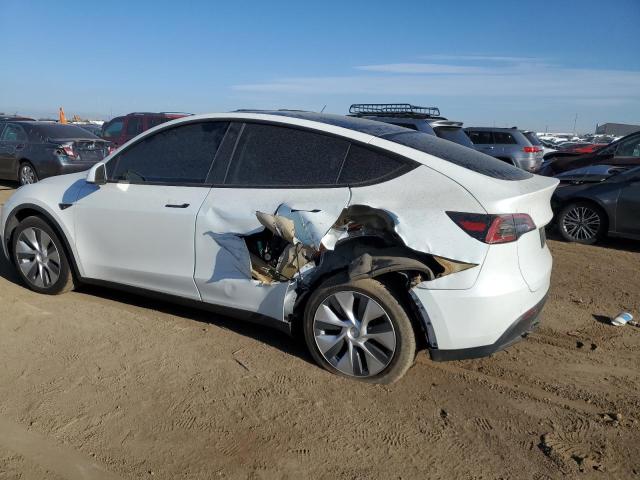 2021 TESLA MODEL Y - 5YJYGDEE6MF158652