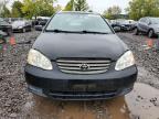 Lot #3311557281 2004 TOYOTA COROLLA CE