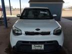 KIA SOUL + photo