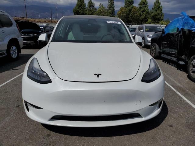 VIN 5YJYGDEE6LF059019 2020 Tesla MODEL Y no.5