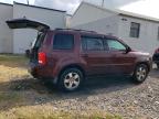 HONDA PILOT EXL photo