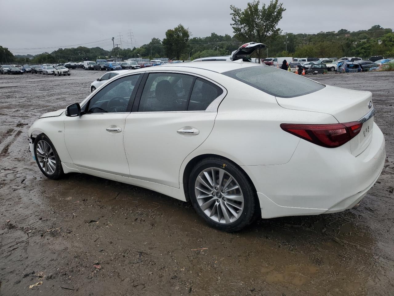 Lot #2909829045 2019 INFINITI Q50 LUXE