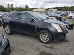 CADILLAC SRX LUXURY снимка