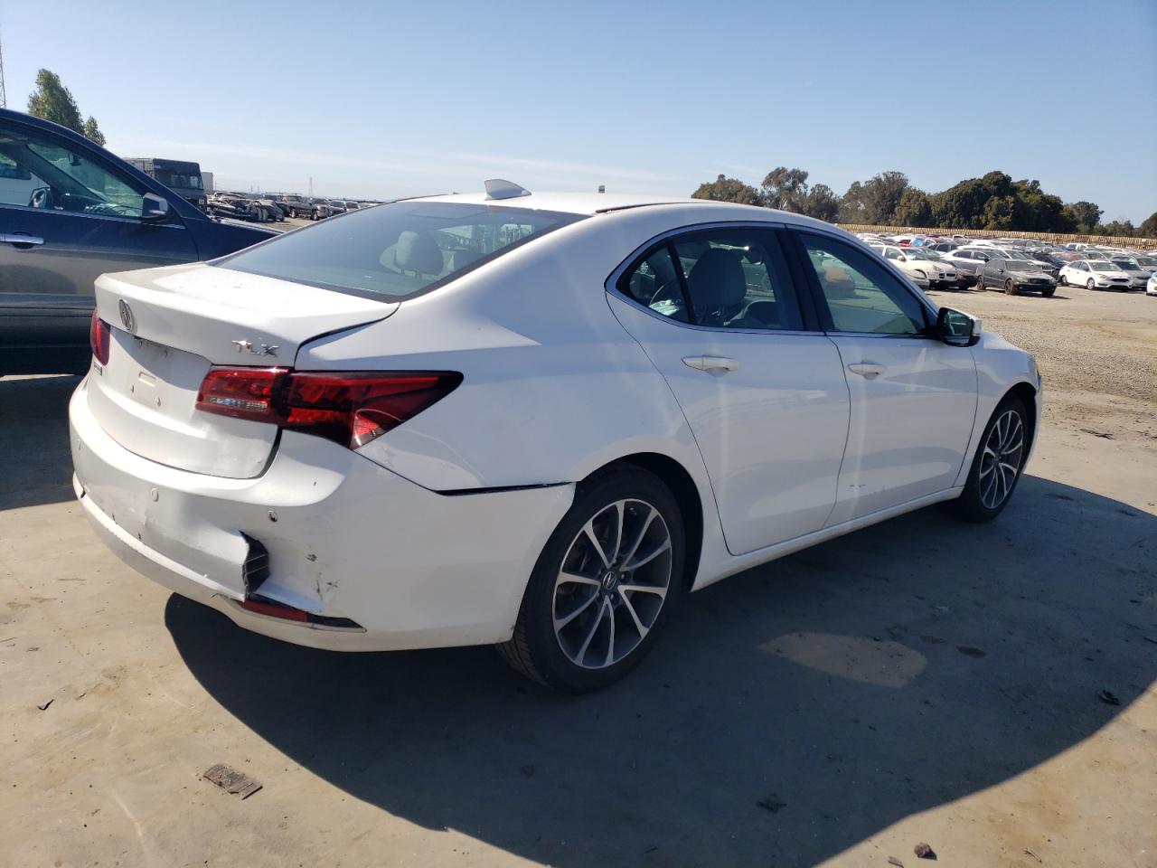 Lot #2969874898 2015 ACURA TLX ADVANC