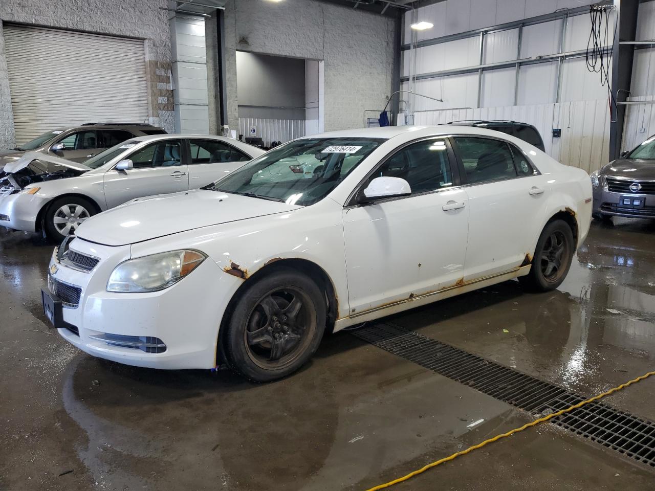 Lot #2905055182 2009 CHEVROLET MALIBU 1LT