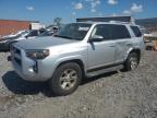 TOYOTA 4RUNNER SR снимка