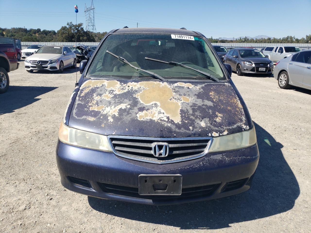 Lot #2993835661 2004 HONDA ODYSSEY EX