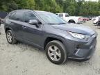 TOYOTA RAV4 XLE photo