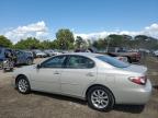 LEXUS ES 300 photo