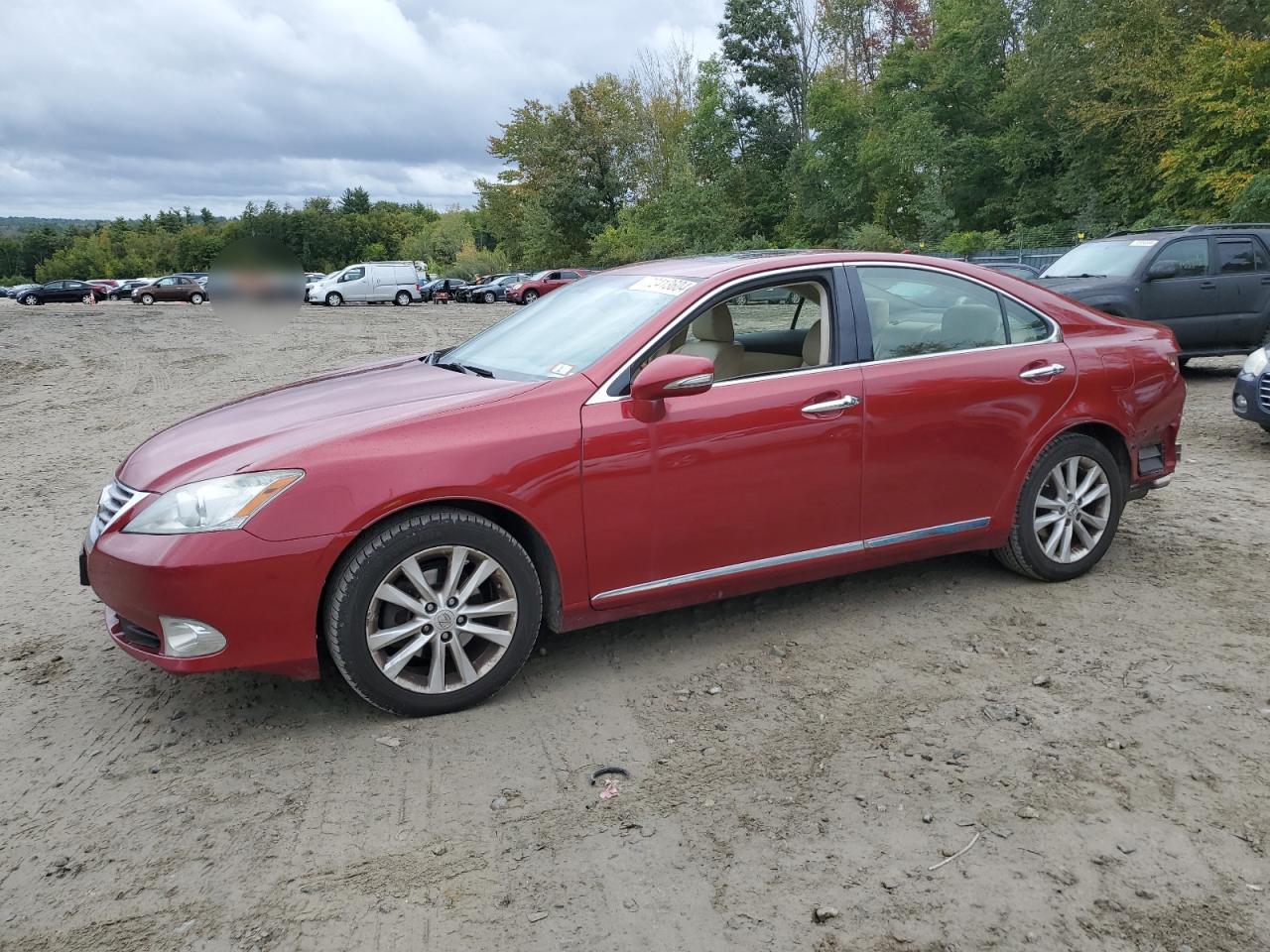 Lexus ES 2011 350