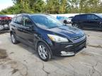 Lot #3025039194 2014 FORD ESCAPE TIT