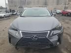 LEXUS NX 300 BAS photo