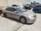 NISSAN ALTIMA BAS photo