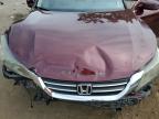 HONDA ACCORD EXL photo