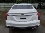 Lot #2938336777 2023 CADILLAC CT5 PREMIU